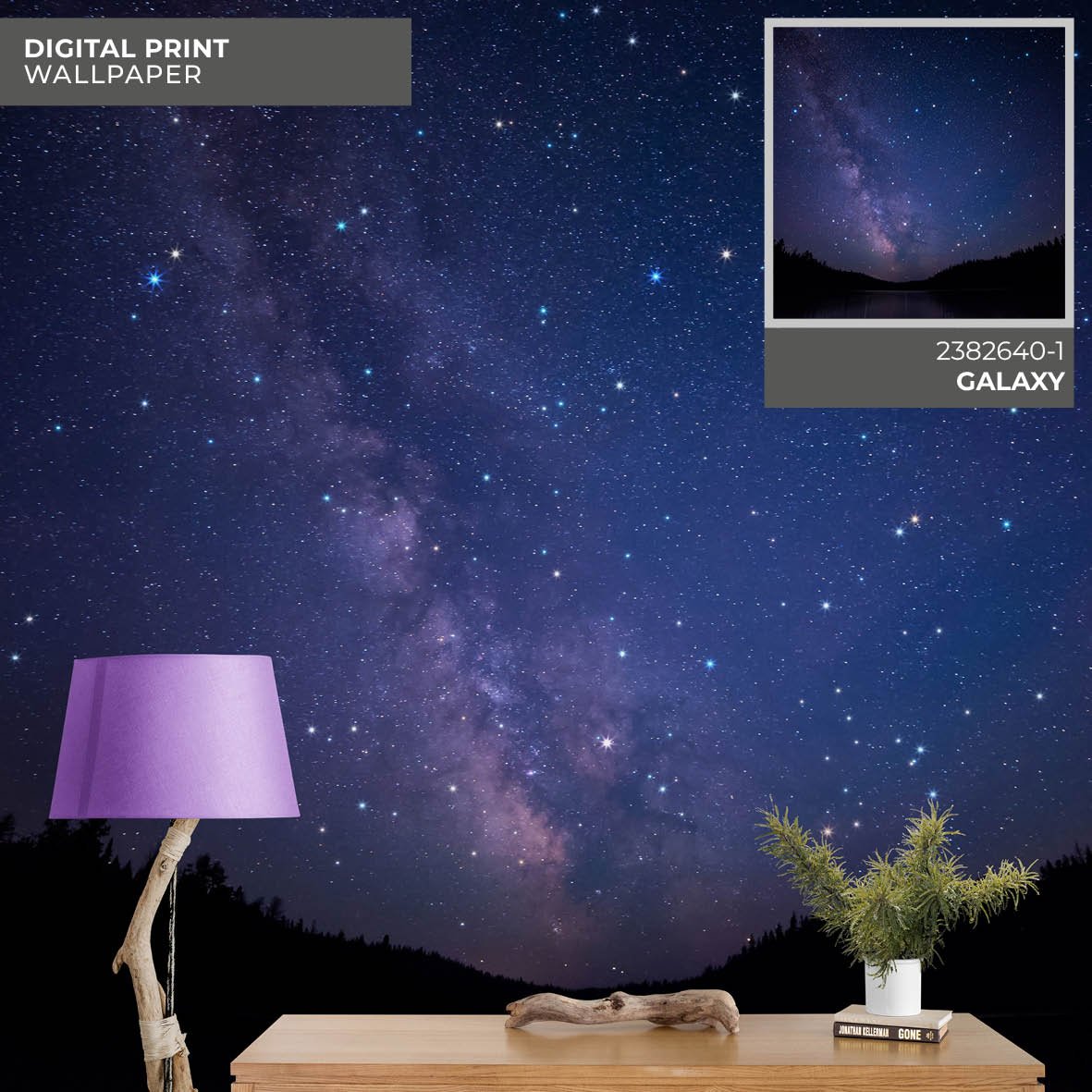 GALAXY - 2382640-1