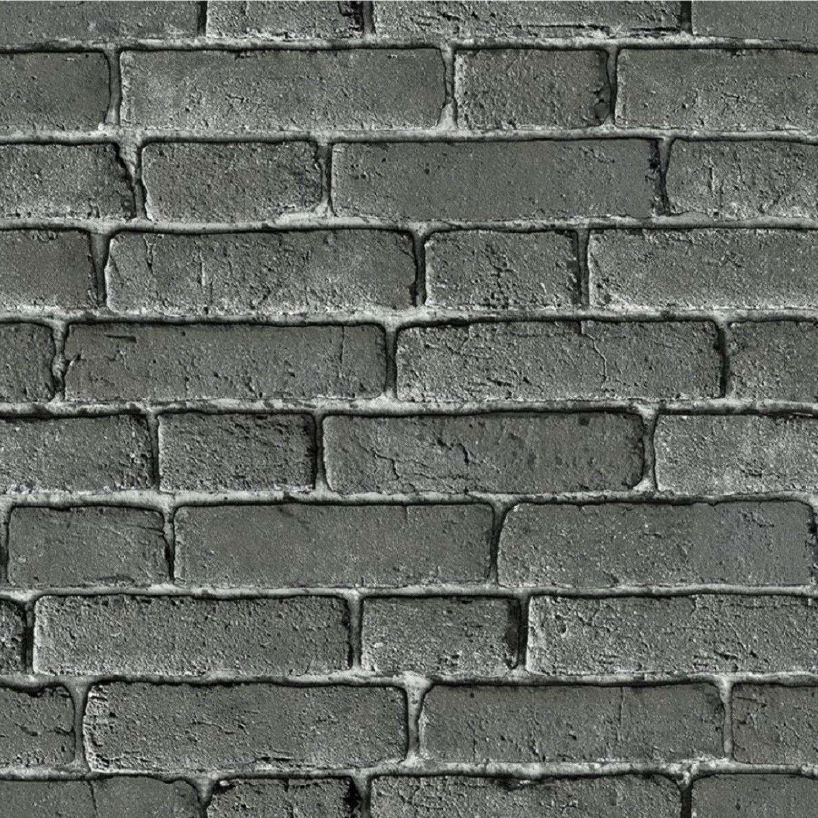 ROCK DV1447