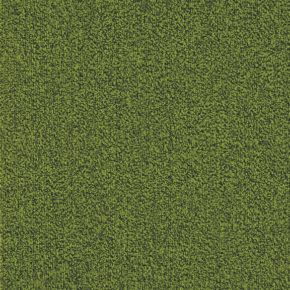 AMZ Ready R38-1147 Slime